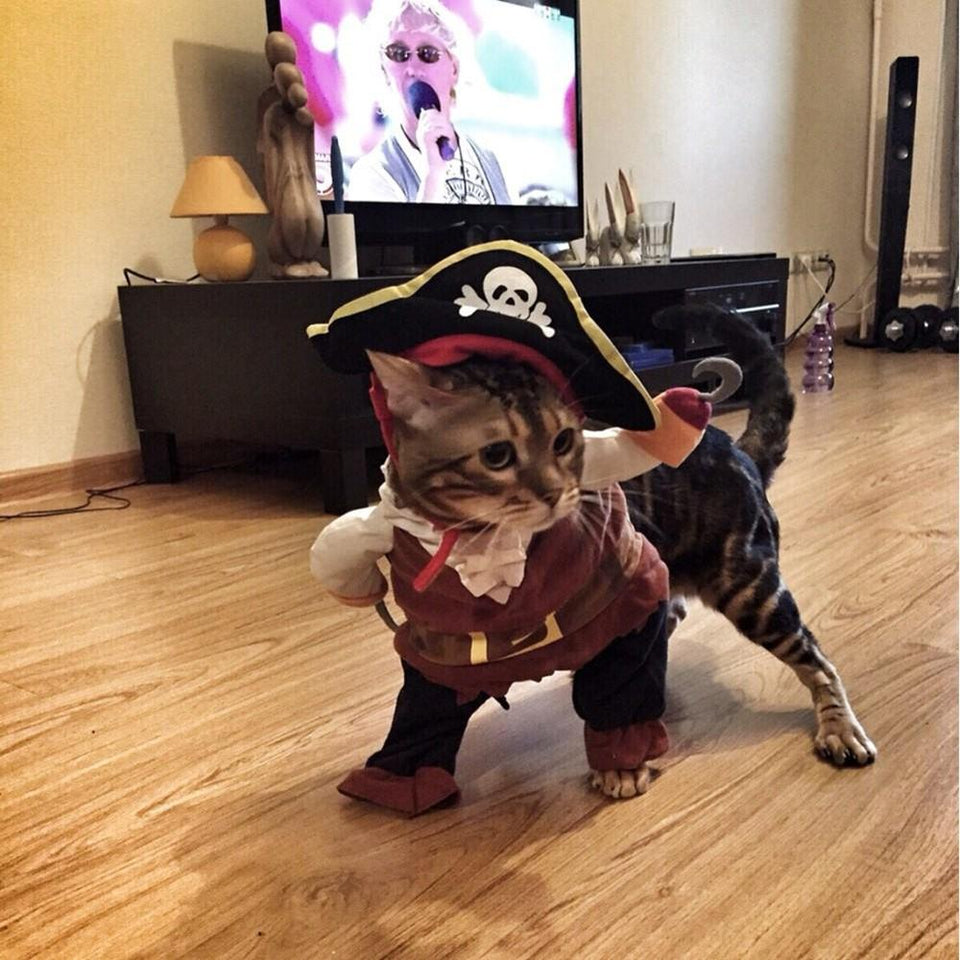 80% OFF Funny Cat/Dog pet Pirate Costume